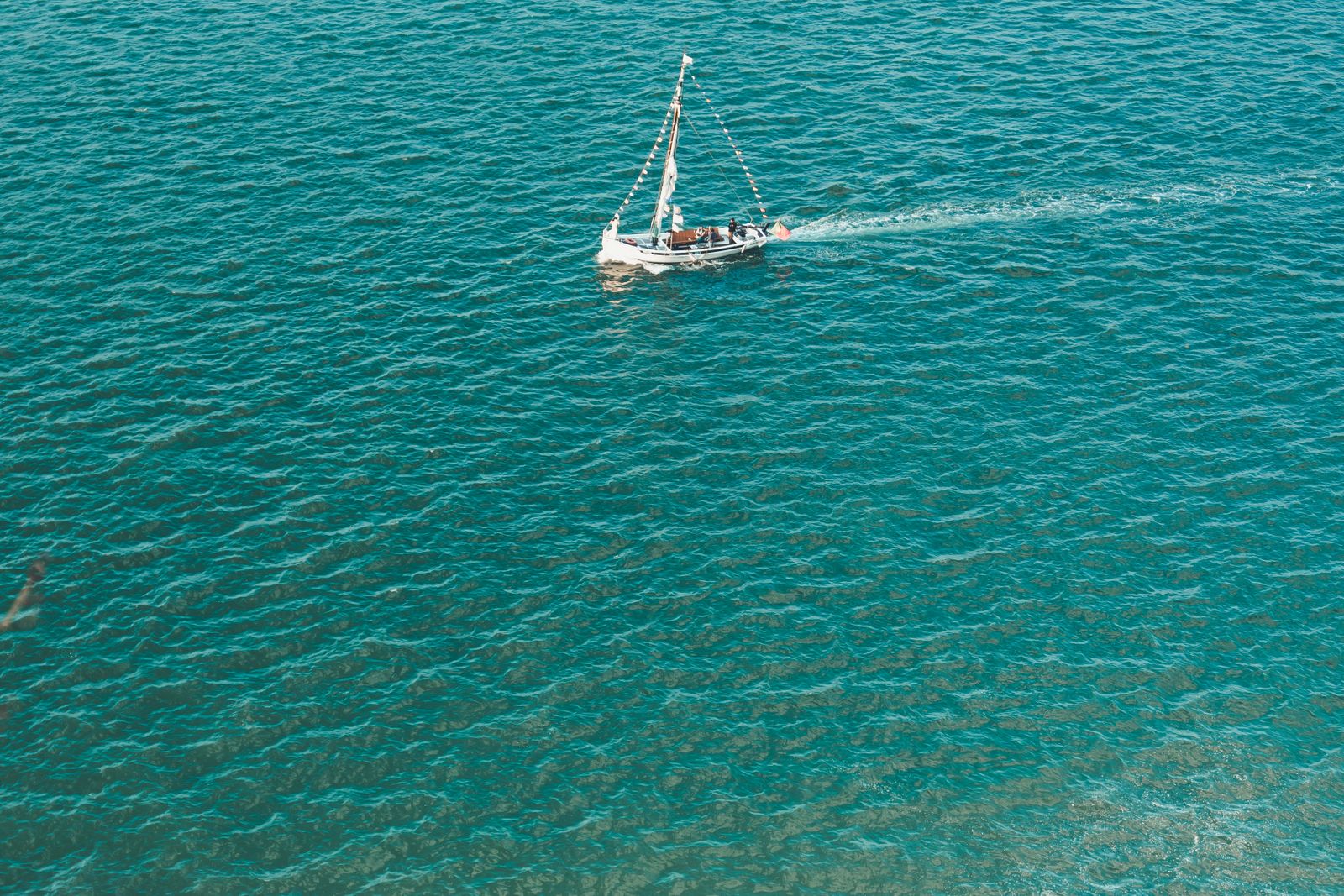 Algarve Surf & Coast Camp