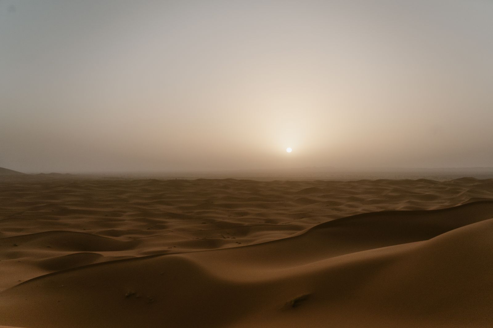 Media 2 from Desert Photography Weekend