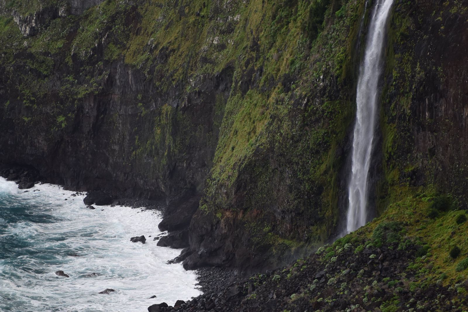 Media 3 from Madeira Peaks & Levada Adventure